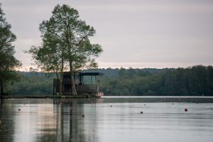 Rowing : Hampton School